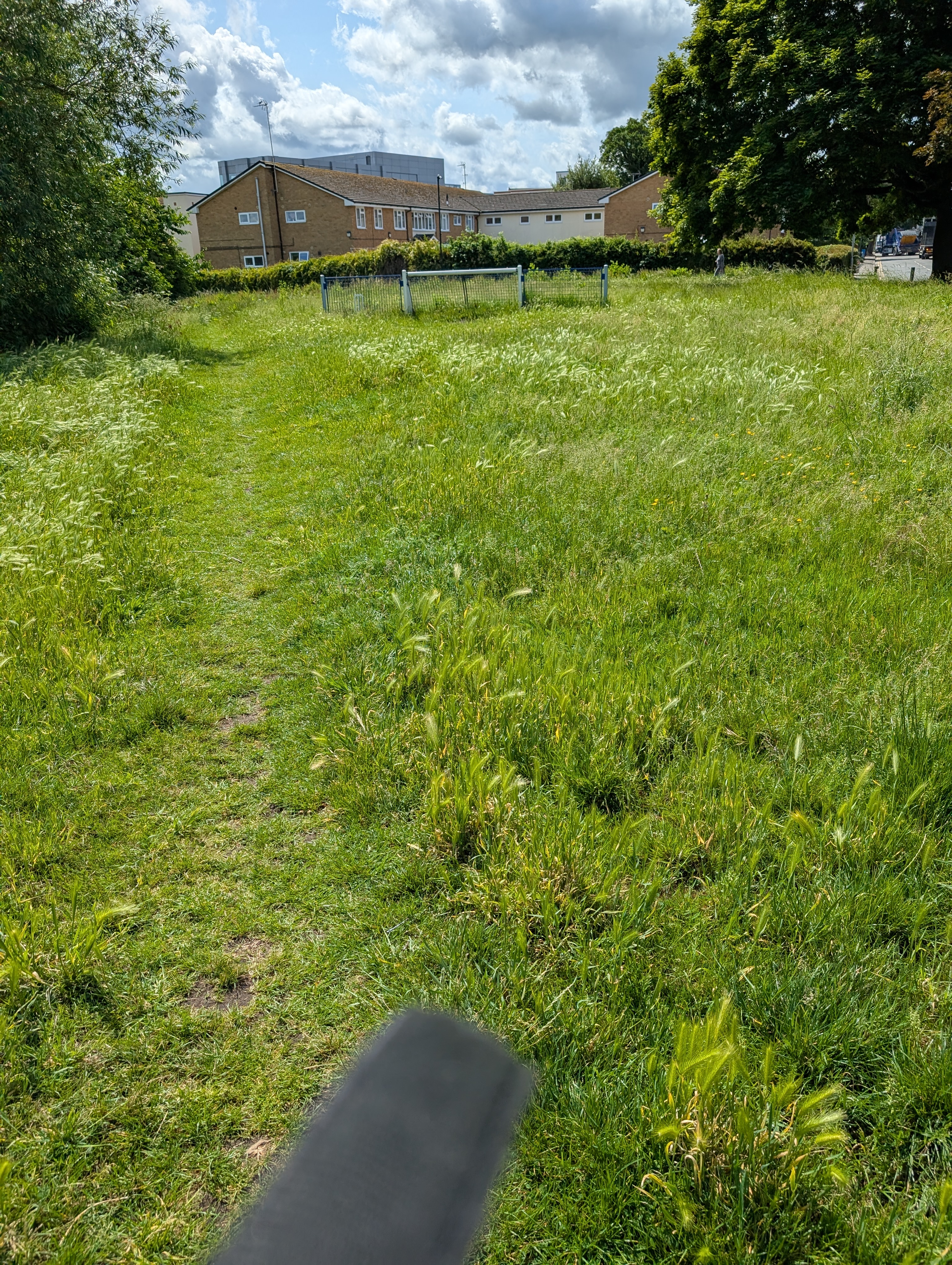 Playground Before Cleaning